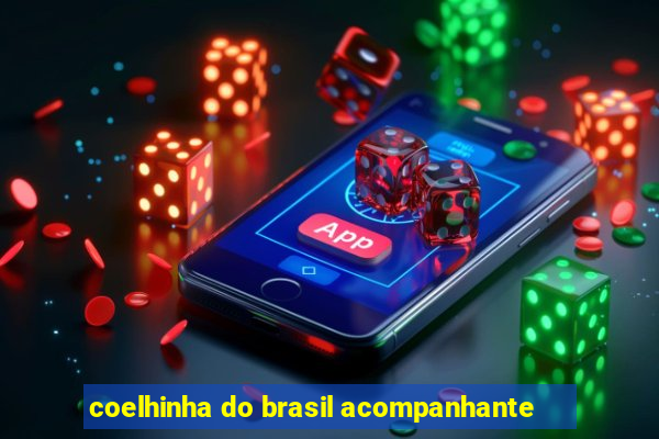 coelhinha do brasil acompanhante